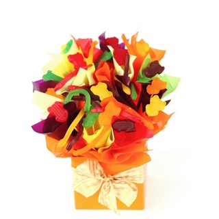 Jungle Jellies - Childrens Hamper